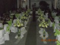 /album/verde-e-branco/a-274-jpg/